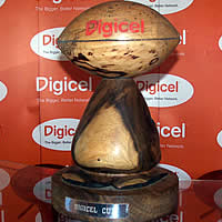Tailevu remains unbeaten in Digicel Cup